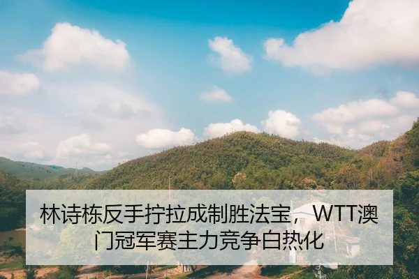 林诗栋反手拧拉成制胜法宝，WTT澳门冠军赛主力竞争白热化