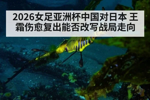 2026女足亚洲杯中国对日本 王霜伤愈复出能否改写战局走向